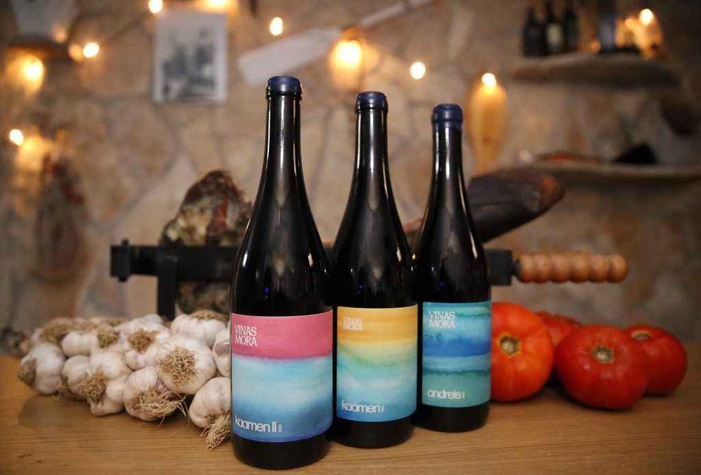 Gastronomy and wine